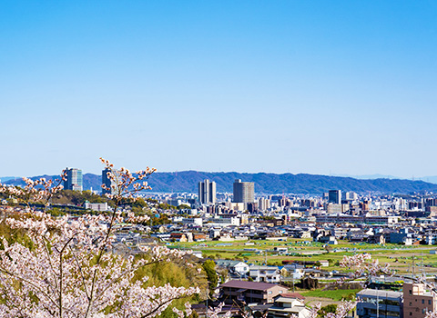 新価値の創造と地方創生を